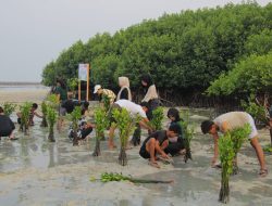 Pulau Pramuka Jadi Lokasi Kerja Sama LindungiHutan dan Smiling Coral Indonesia